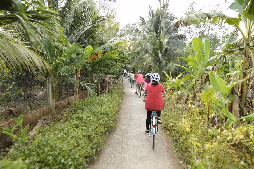 游客们在植满绿树的林荫路上骑自行车。图自Vietnam+)