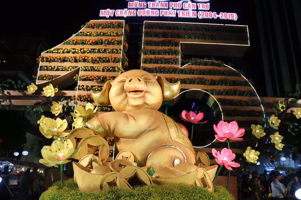 芹苴2019己亥年春节花街及艺术灯开街。图自越通社
