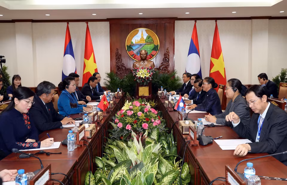 越南国会主席阮氏金银同老挝国会主席巴妮举行会谈。越通社记者 仲德 摄