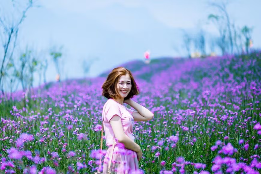到番西邦峰观看花谷的美丽。图自越通社