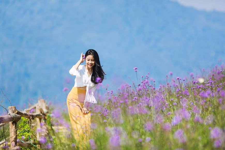 到番西邦峰观看花谷的美丽。图自越通社