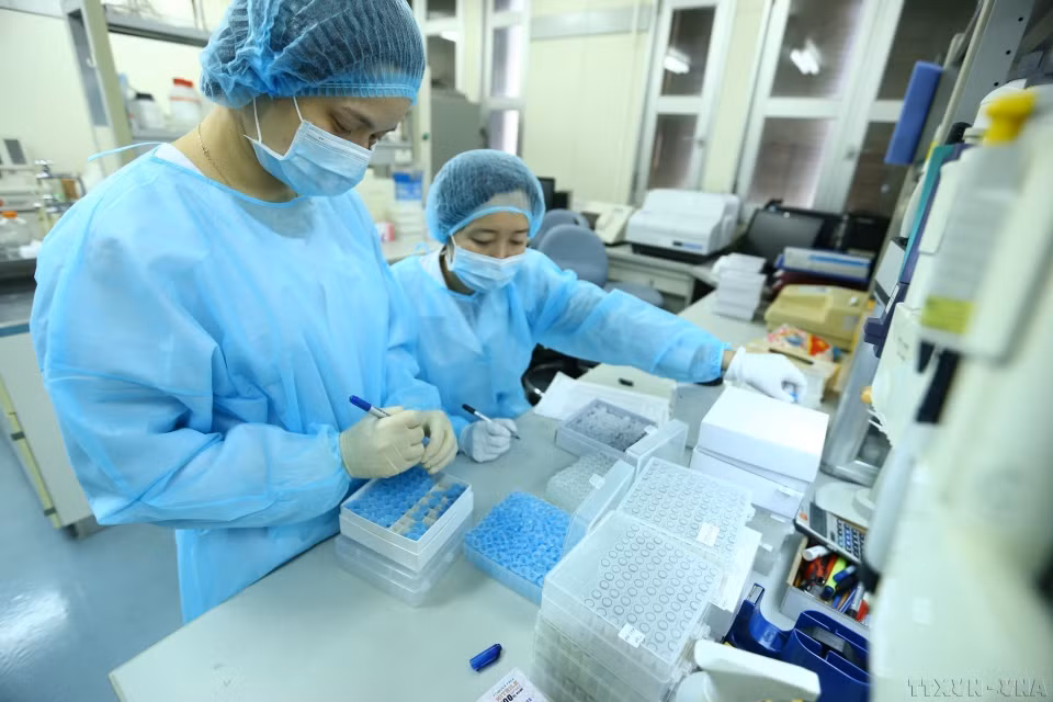越南中央卫生与流行病学研究所流感病毒实验室研究专家小组已成功在实验室培养分离出新型冠状病毒毒株。这一成就有助于将越南跻身世界成功培养和分离新型冠状病毒毒株的四个国家榜单。图自越通社