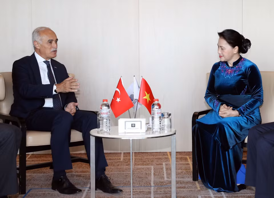 阮氏金银与土耳其对外经济关系委员会(DEIK)主席纳伊尔在会见中互相交换意见。越通社记者 仲德 摄