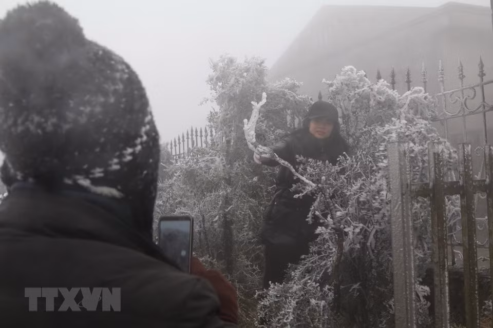 游客喜欢在母山山峰上拍摄冰雪照片。图自越通社