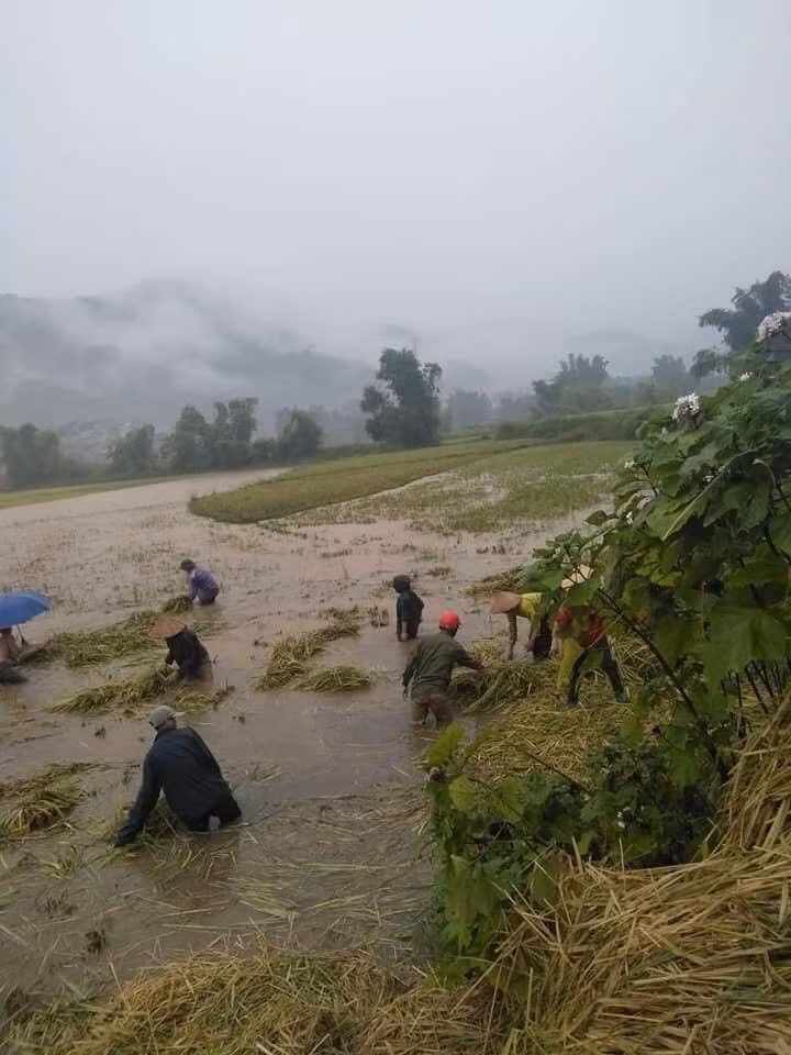 暴雨洪水给老街省造成损失。越通社记者 香秋 摄