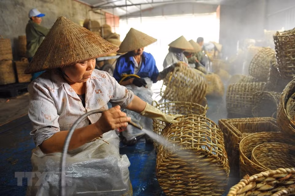 手工艺人将编织好的篮子洗得干净。越通社记者 明德 摄