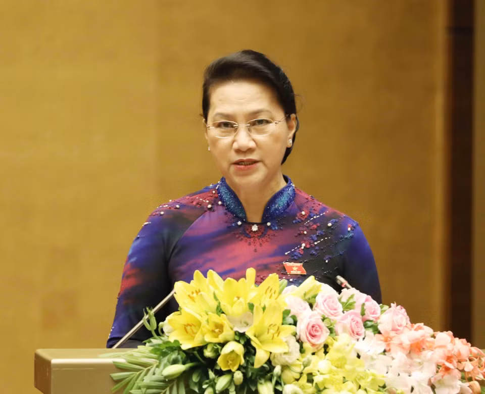 越南国会主席阮氏金银发表讲话。图自越通社
