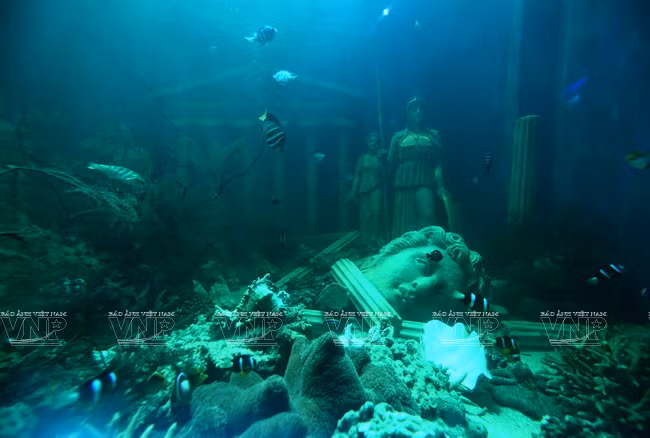 莲潭水族馆总面积为3000平方米，是6000多种水生动物栖息地。（图片来源：越通社《越南画报》）