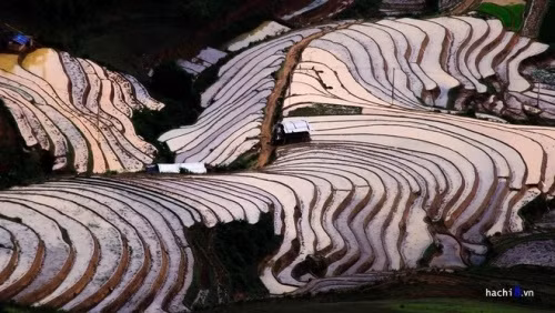 如诗如画的梯田景观（图片来源：越南每日快讯报）