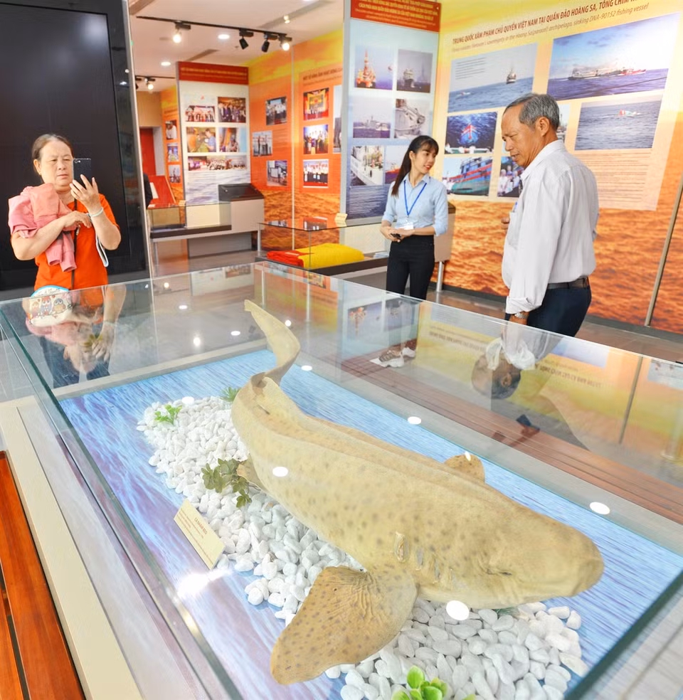 越南从1858至1945年在黄沙群岛活动的图片。越通社记者 清和 摄