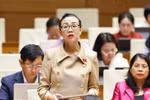 林同省代表郑氏秀英发表意见。图自越通社
