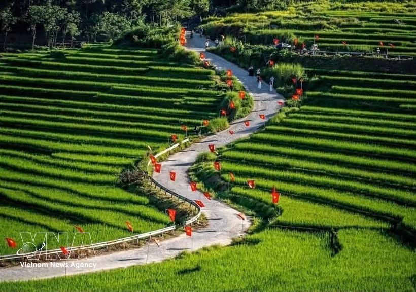9·2国庆假期，浦良生态旅游区一条道路上插满金星红旗吸引游客前来打卡。图自越通社