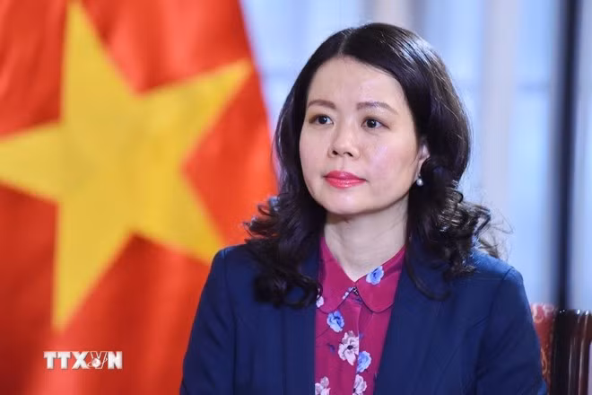 越南外交部副部长阮明姮。图自越通社