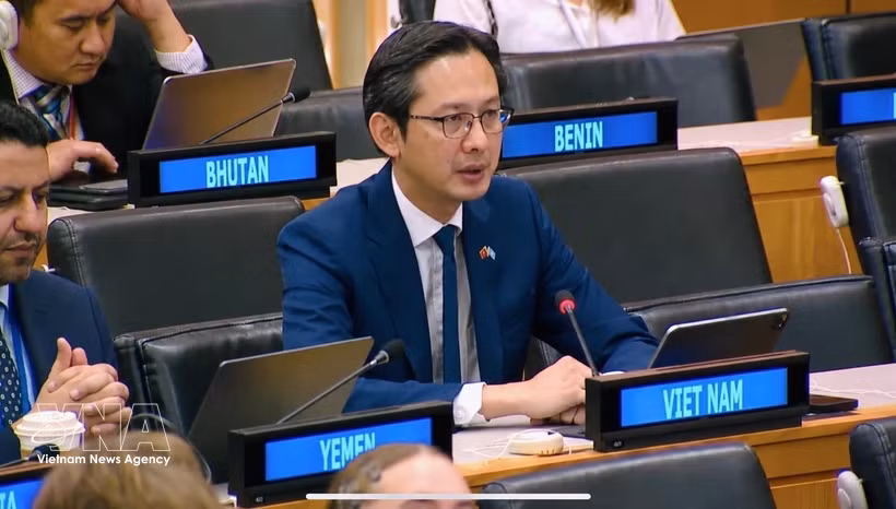 越南常驻联合国代表团团长杜雄越大使。图自越通社