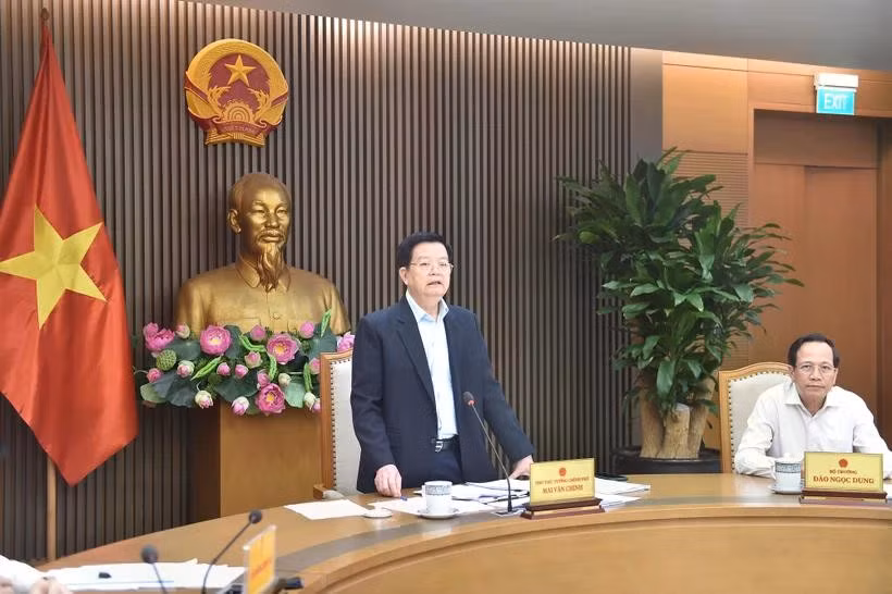 越南政府副总理梅文政发表讲话。图自越南政府门户网站