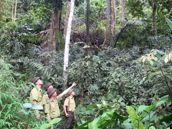越南宣光省注重保护生物多样性和稀有动物。越南民族与山区画报