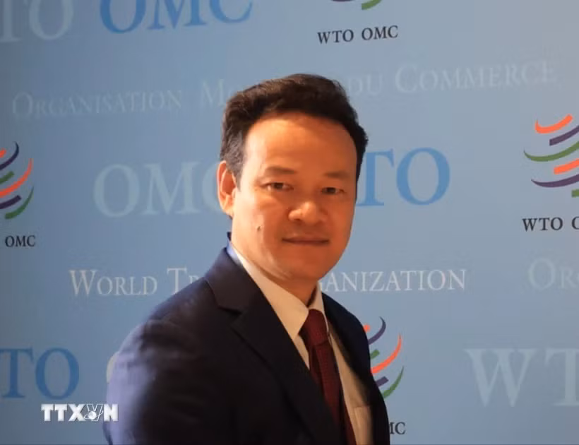 越南常驻日内瓦代表团团长梅潘勇大使。图自越通社