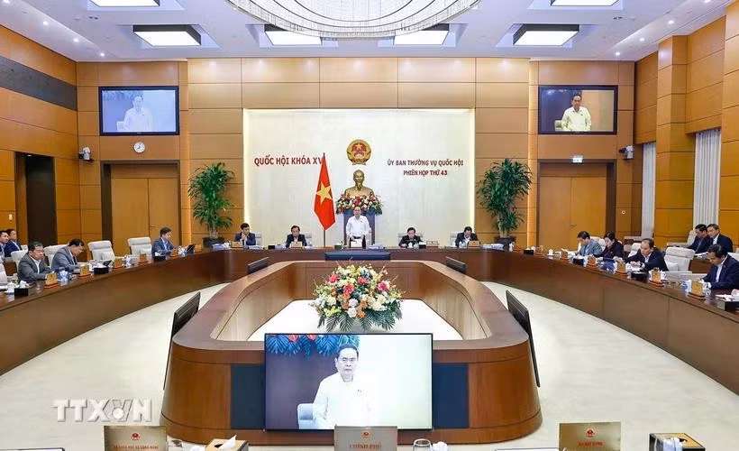 越南国会主席陈青敏主持会议。图自越通社