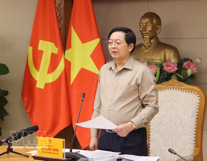 越南政府副总理胡国勇在会上发表讲话。图自越通社
