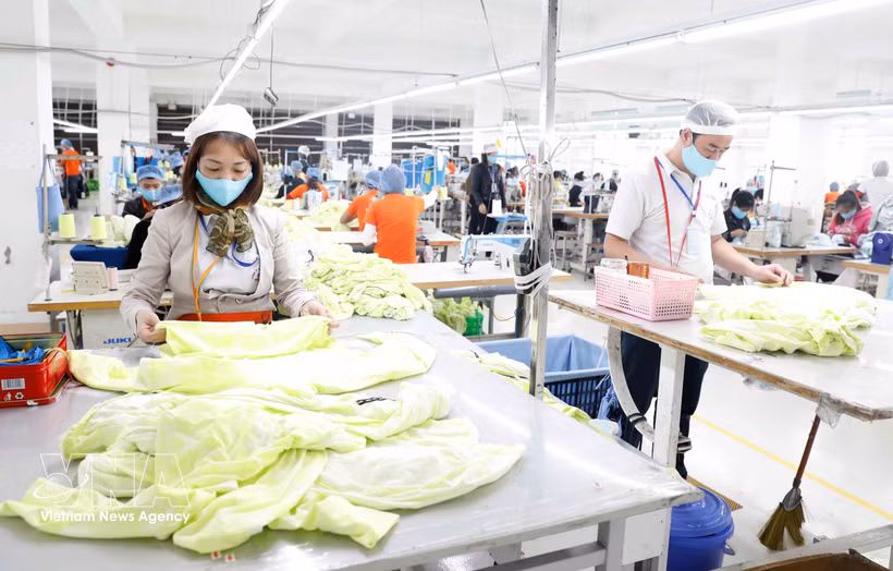 兴越服装公司（兴安省）纺织厂。图自越通社