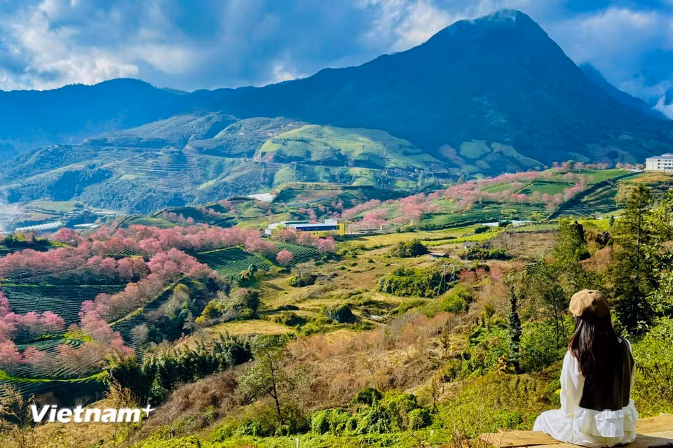12月的沙坝之旅，是邂逅自然奇迹的行程。图自 越通社《Vietnam+》