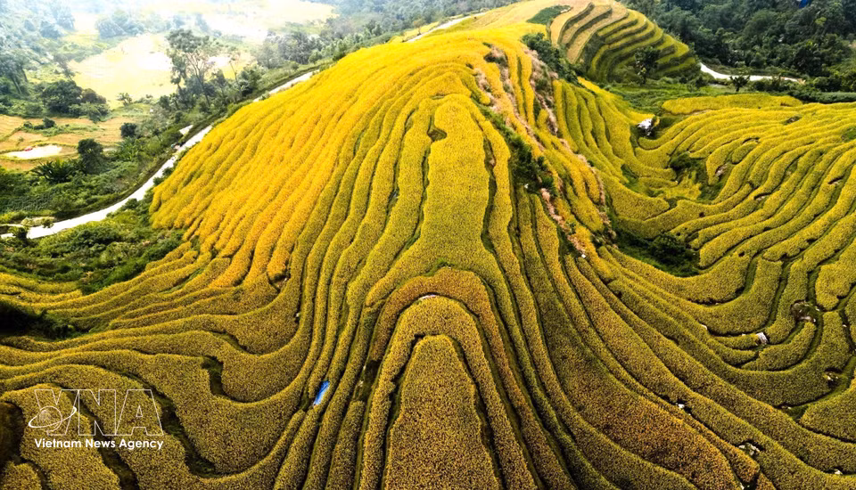 一层层梯田沿山坡绵延铺展。图自 越通社