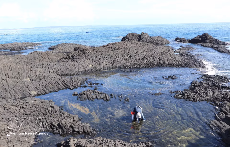 游客在澖岛海域涉水捡拾海螺，体验赶海乐趣。图自 越通社
