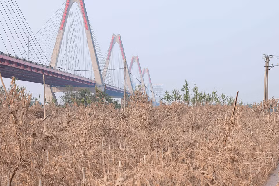 第三号台风席卷后 河内市日新桃花村村民转瞬之间变得一无所有。图自越通社