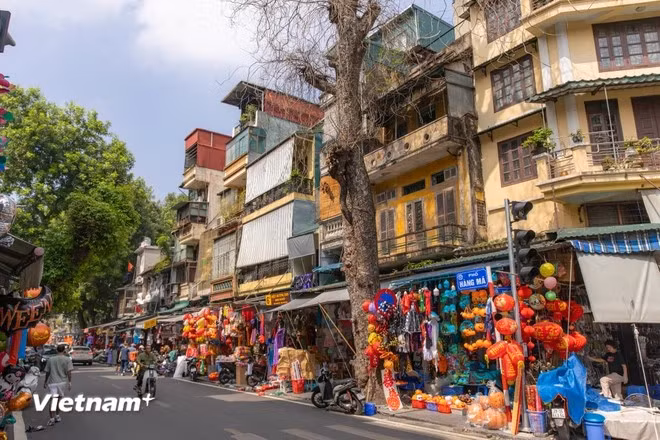 位于河内古街区中心的行马街，以其一年四季的绚丽多彩和热闹氛围而闻名，尤其是在春节或中秋节期间更是人潮涌动。这条街聚集了众多专营装饰品的商店，从灯笼、纸灯到冥纸用品以及各类手工装饰品，应有尽有，成为节庆采购的首选之地。图自 越通社《越南画报》