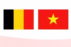 越南与比利时王国关系发展良好