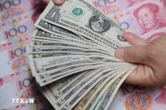 附图。图自越通社