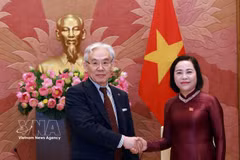 南国会副主席阮氏清会见日本德洲会集团董事长东上震一。图自越通社
