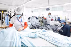附图。图自越通社