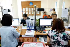 附图。图自越通社