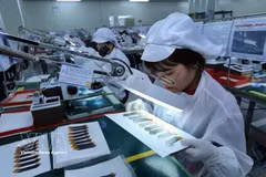 附图。图自越通社