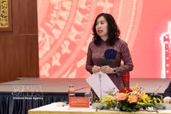 外交部副部长黎氏秋姮。图自越通社