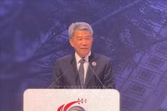 马来西亚外长莫哈末·哈山。图自越通社