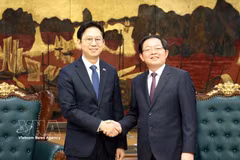越南政府副总理胡国勇（右）与韩国副总理兼科学技术信息通信部部长裴庆勋亲切握手。图自政府报