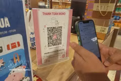 附图。图自越通社