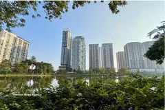附图。图自越通社