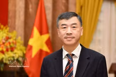越南驻捷克大使杨怀南。图自越通社