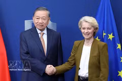 越共中央总书记、国家主席苏林会见欧盟委员会主席乌尔苏拉·冯德莱恩。图自越通社