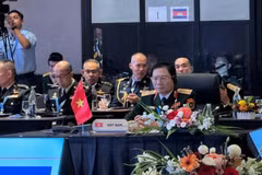 越南人民军总参谋长、国防部副部长阮新疆大将率团与会。图自越通社