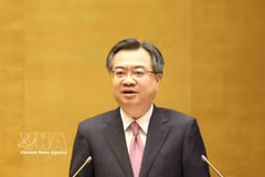 越共中央政策与战略部部长阮青议。图自越通社