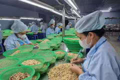 附图。图自越通社