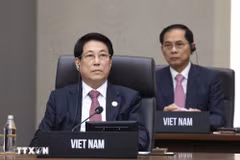 梁强出席第32届亚太经合组织峰会。图自越通社