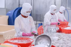 附图。图自越通社