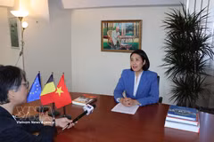 越南驻比利时王国大使兼驻欧盟代表团团长阮香茶接受越通社记者的采访。图自越通社