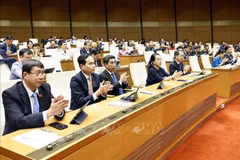 与会代表。图自越通社