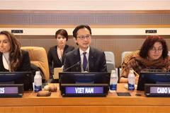 越南驻联合国代表团团长杜雄越大使主持研讨会。图自越通社